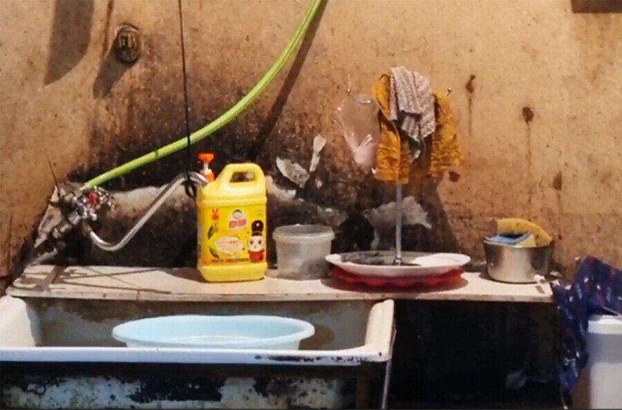 Грызуны грязь угроза для здоровья приостановлена работа благовещенской пекарни видео