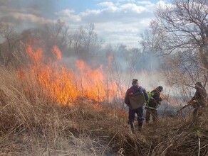 Пастуха подозревают в пале растительности в Серышевском округе