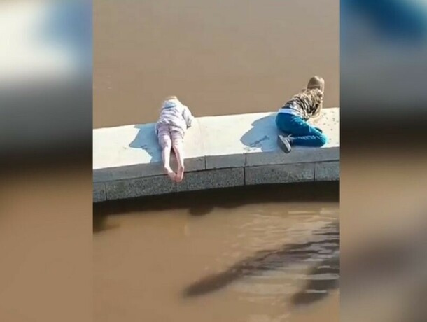 Мамашка сидит в телефоне детей играющих на краю парапета набережной Амура заметили в Благовещенске видео 