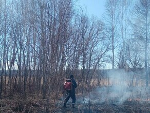 Увидели дым амурского поджигателя оштрафовали на крупную сумму 