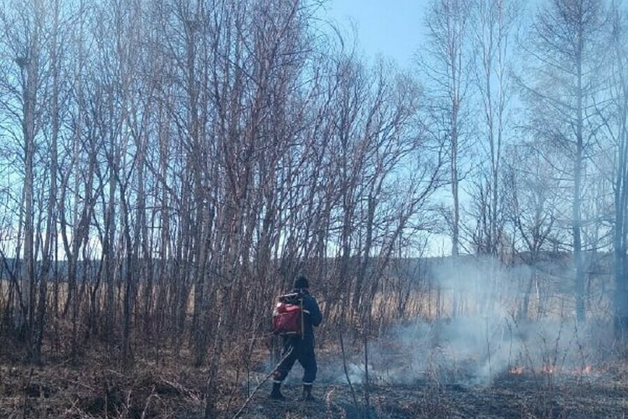 Увидели дым амурского поджигателя оштрафовали на крупную сумму 