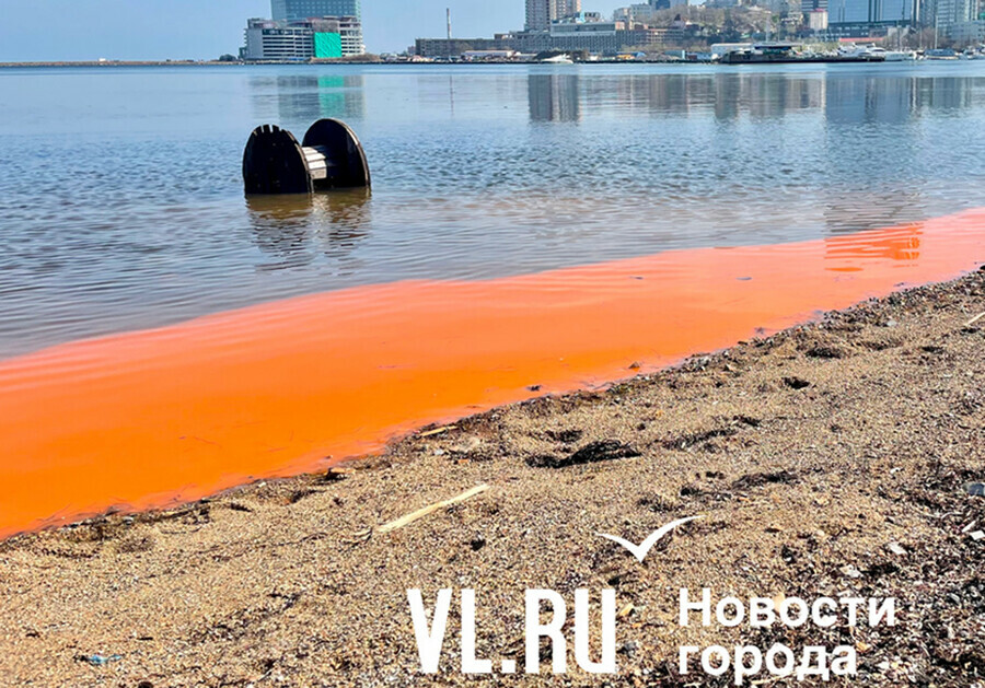 Море во Владивостоке заржавело фото