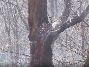 В Завитинске подросток поджег сухую траву а взрослый развел костер на своем участке