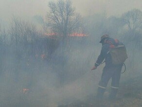 Штрафы на 18 миллиона рублей выписаны в Приамурье с начала действия особого противопожарного режима 