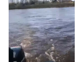 Дедушку утонувшего в автомобиле продолжают искать в амурской реке Томь видео