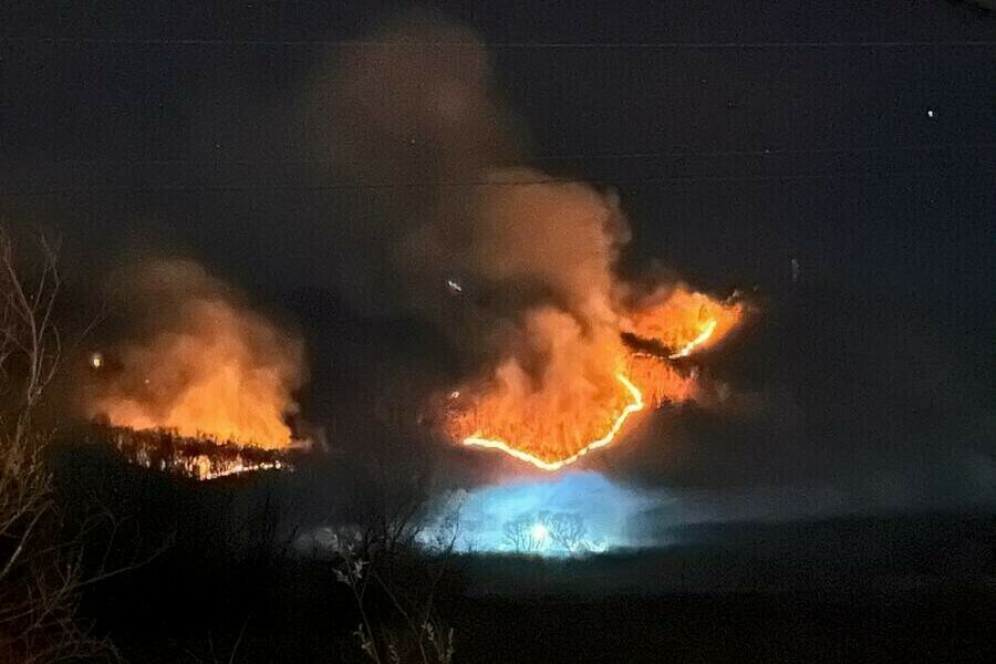 Более 2 миллионов рублей штрафов заплатят амурчане за пожары возникшие по их вине