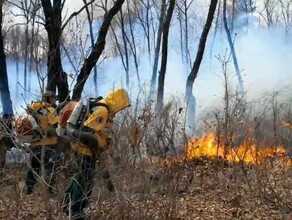 В Амурской области действуют девять природных пожаров