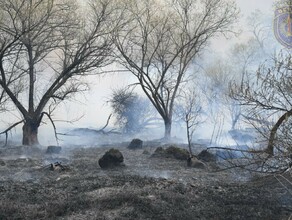 В Амурской области ребенок устроил пал пытаясь взорвать зажигалку