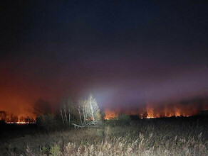 Площадь лесных пожаров в Амурской области сократилась больше чем в 2 раза