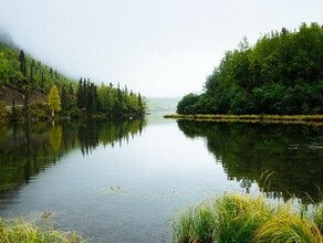 В реках Амурской области отмечается подъем уровня воды