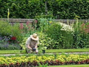 ВЦИОМ 53 россиян планируют провести отпуск дома
