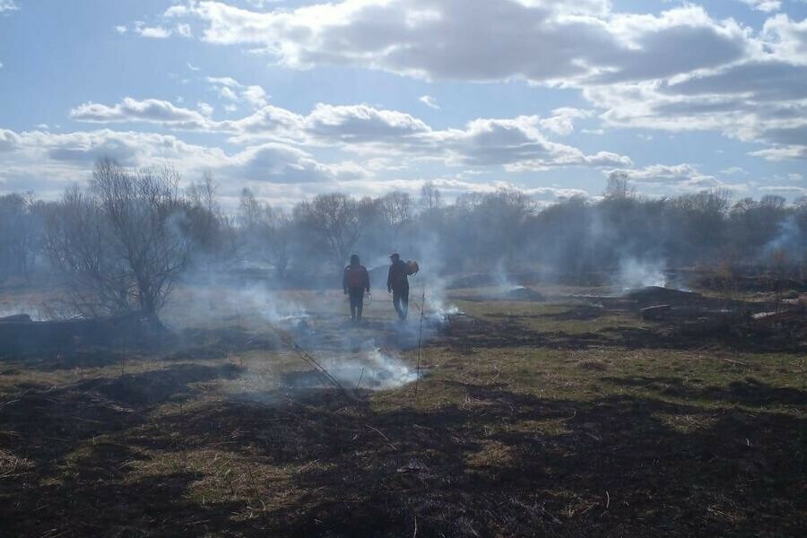 На большей части Приамурья отменен особый противопожарный режим Где еще нельзя разводить костры 