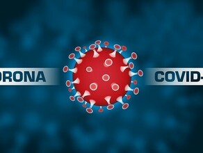 В Приамурье стартует 3й этап исследования коллективного иммунитета к COVID По итогам первых двух выводы пока неутешительные