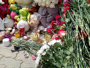 Амурчане могут помочь родителям чьи дети погибли в ДТП на Василенко 