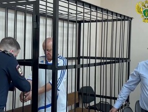 Избрана мера пресечения водителю который снес группу пешеходов на Василенко видео 