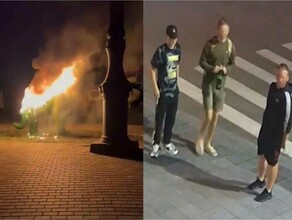 Вандалы ночью под камерами наблюдения сожгли тигра на набережной Благовещенска фото видео