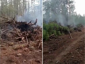 Горели лес и шпалы Пожарные отстояли самый северный поселок Амурской области видео
