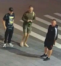 В Благовещенске задержали возможного поджигателя тигра на набережной