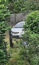 Нас одолели закладчики Дачники из СНТ за Чигиринским водохранилищем бьют тревогу