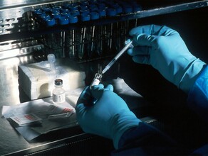 В России начнут испытание вакцины от рака на добровольцах в 2025 году