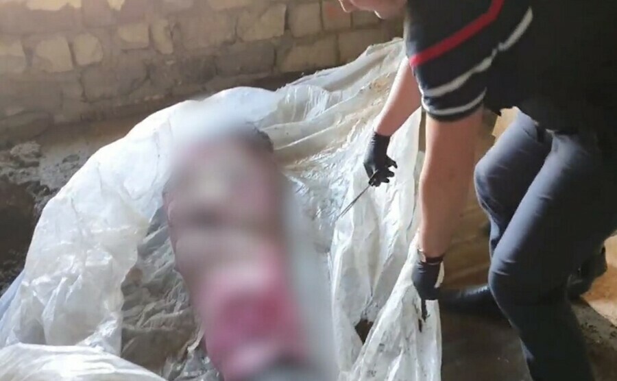 Мужчина замуровал тело родственника в полу дома Его нашла собака