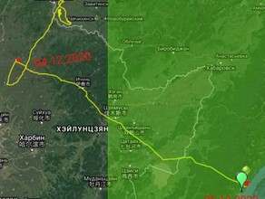 Журавль из Муравьевского парка Амурской области нарисовал над Китаем автопортрет и вернулся в Россию