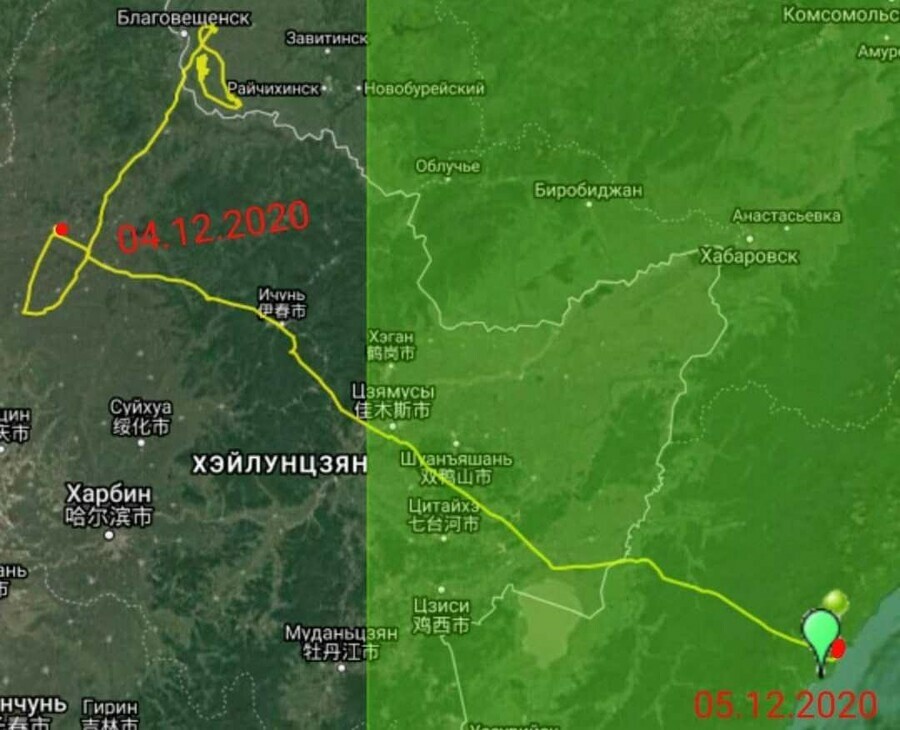 Журавль из Муравьевского парка Амурской области нарисовал над Китаем автопортрет и вернулся в Россию