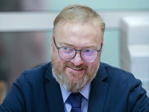 Депутат Милонов потребовал на законодательном уровне запретить добавлять майонез в шаурму