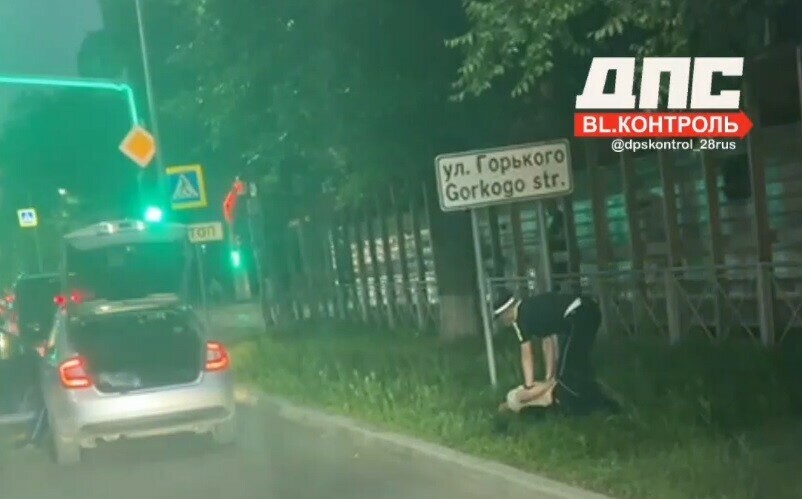 Пришлось повалить на землю пьяного водителя задержали в центре Благовещенска 