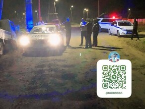 Отказался от медосвидетельствования водитель сбил четырех детей на Сахалине фото 