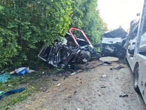 Автовоз столкнулся с фурой в Приамурье оба водителя погибли 