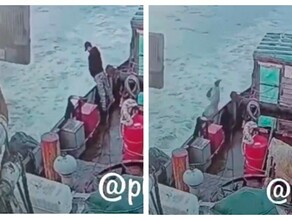 Вышел по малой нужде и упал в море в Приморье ищут мужчину упавшего с судна видео
