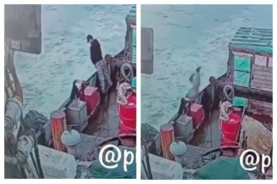 Вышел по малой нужде и упал в море в Приморье ищут мужчину упавшего с судна видео