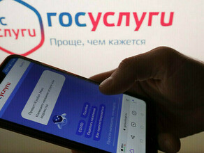 Не стоит медлить амурский министр объяснил что после взлома Госуслуг к гражданам могут подселить иностранцев