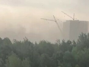 В Петербурге изза ветра и ливня упал башенный кран От падения дерева погибла женщина видео