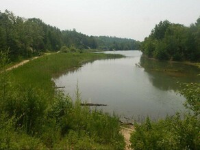   В Райчихинске при заплыве на озере пропал мужчина