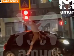 Почти по Булгакову голую девушку с котом задержали ночью в Хабаровске
