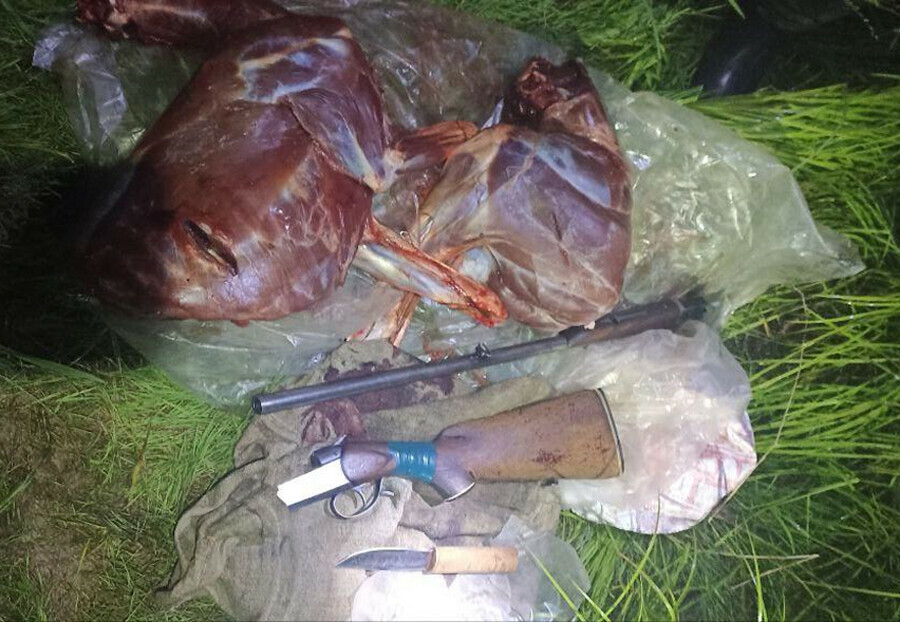 За незаконный отстрел косули в Амурской области отца и сына лишат права на охоту 