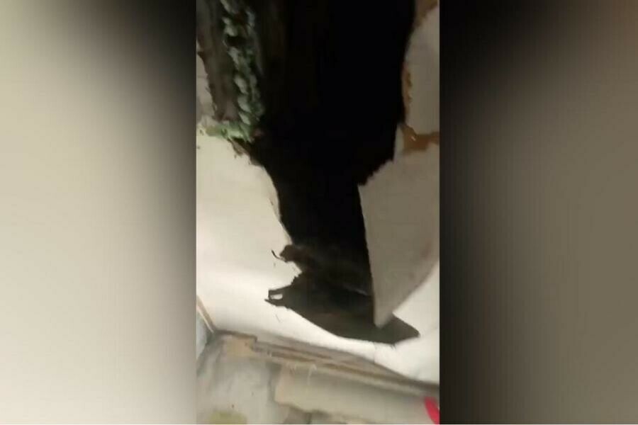 Я опасаюсь что обрушение крыши может пойти дальше в благовещенской квартире обвалился потолок видео 