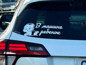 Амурских родителей призывают даже на 5 минут не оставлять детей в машине чтобы избежать трагедии 