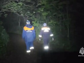 Спасатели на Дальнем Востоке эвакуировали туристов которые заблудились и ночью встретили следы медведя видео