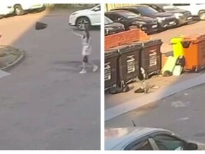 Все начинается с нас как юная благовещенка выбросила пакеты с мусором в закрытые контейнеры видео