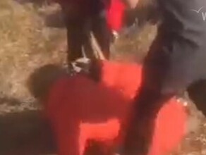 В Приморье власти озвучили почему одна школьница жестоко избивала другую пока остальные снимали на телефон
