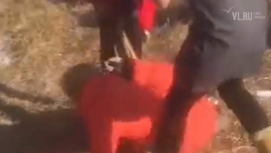 В Приморье власти озвучили почему одна школьница жестоко избивала другую пока остальные снимали на телефон