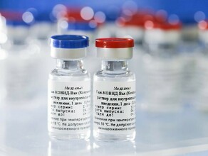 Власти озвучили когда в Приамурье начнется массовая вакцинация от COVID19