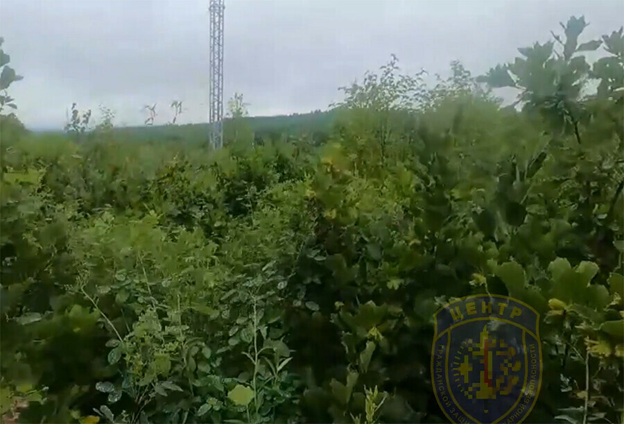 В Амурской области спасатели нашли потерявшихся грибников благодаря ЛЭП видео