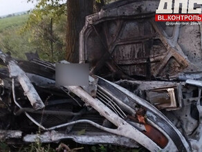 Врезались в дерево жесткое ДТП с пострадавшими произошло в Амурской области фото