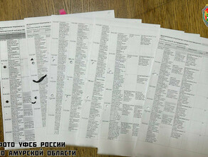ФСБ особо крупную сумму присвоила благовещенка работавшая в муниципальной организации