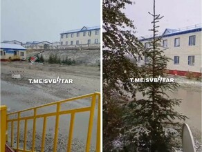 В Амурской области выпал первый снег