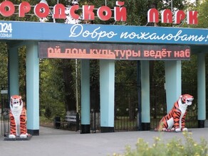 Городской парк Благовещенска реконструируют Горожан просят рассказать о своих пожеланиях